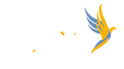 逐梦杯